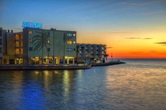 410-Gorgeous Views, Waterfront, Wifi, Pool And Close To Bucs Stadium タンパ エクステリア 写真