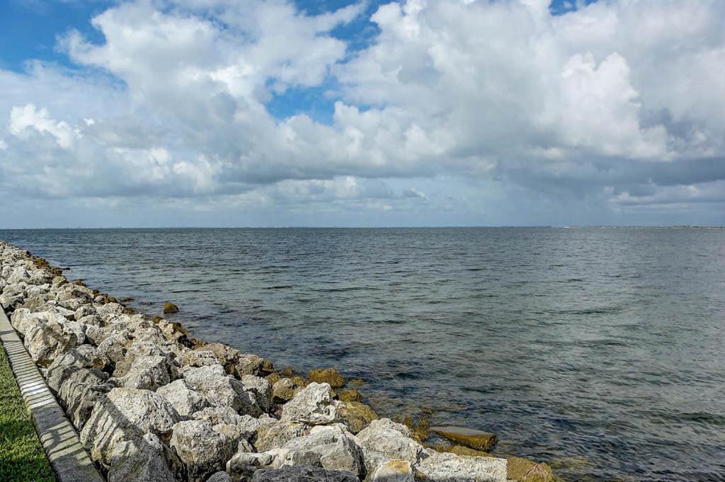 410-Gorgeous Views, Waterfront, Wifi, Pool And Close To Bucs Stadium タンパ エクステリア 写真